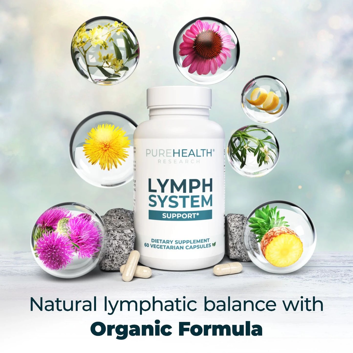 Lymph System Support Supplement - Lymphatic Drainage Supplement with Dandelion Extract