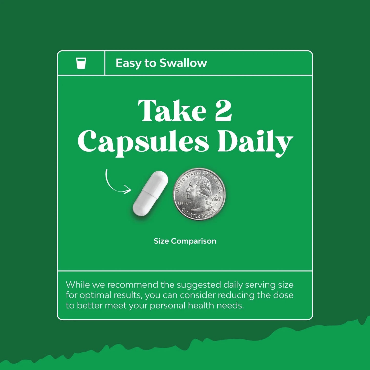 Colon Cleanser & Detox - Lactobacillus Acidophilus Probiotic Supplement Body Cleanse - Psyllium Husk Capsules Gut Health Supplement