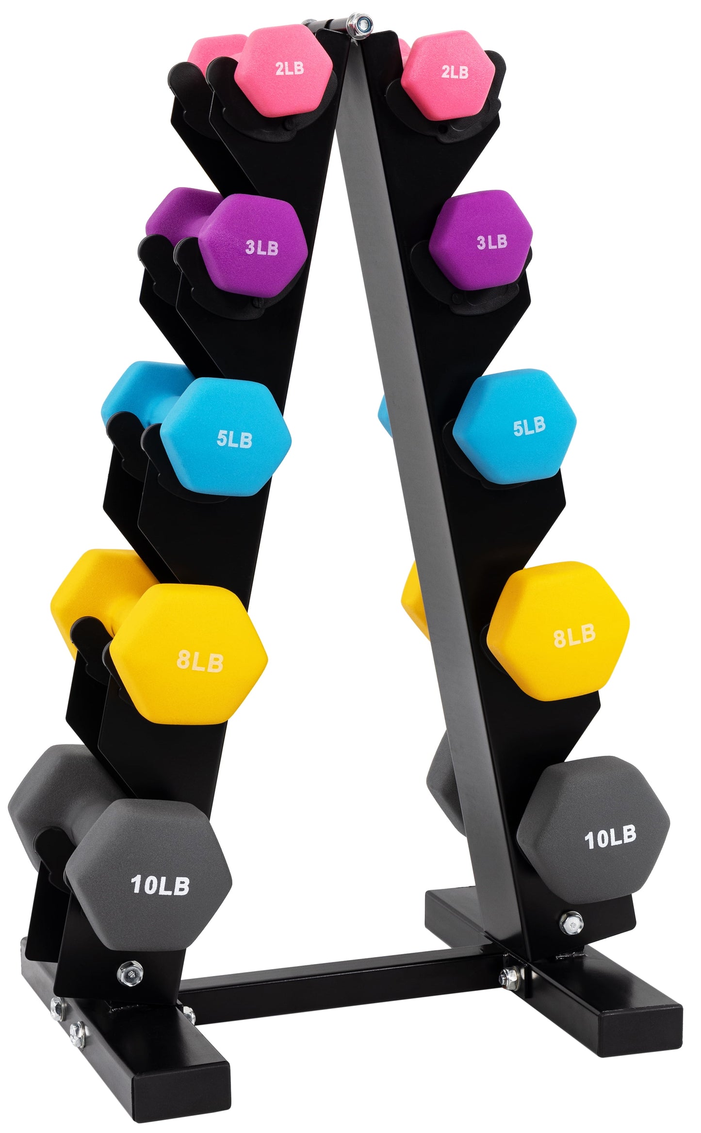 Dumbbell Set with Stand (2Lbs, 3Lbs, 5Lbs, 8Lbs, 10Lbs Set)