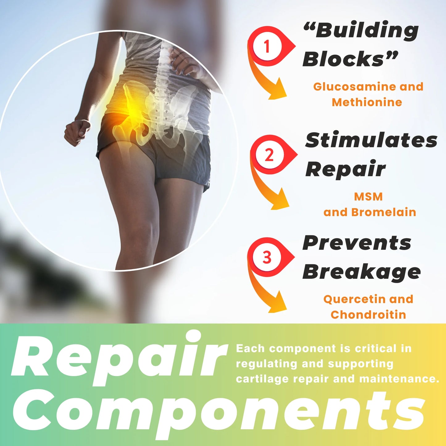Joint Health Supplement - Glucosamine Chondroitin MSM - Cartilage Joint Support Supplement