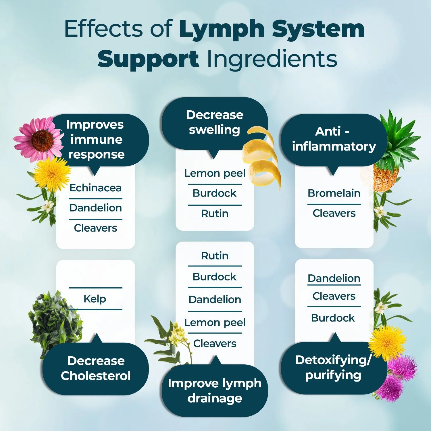Lymph System Support Supplement - Lymphatic Drainage Supplement with Dandelion Extract