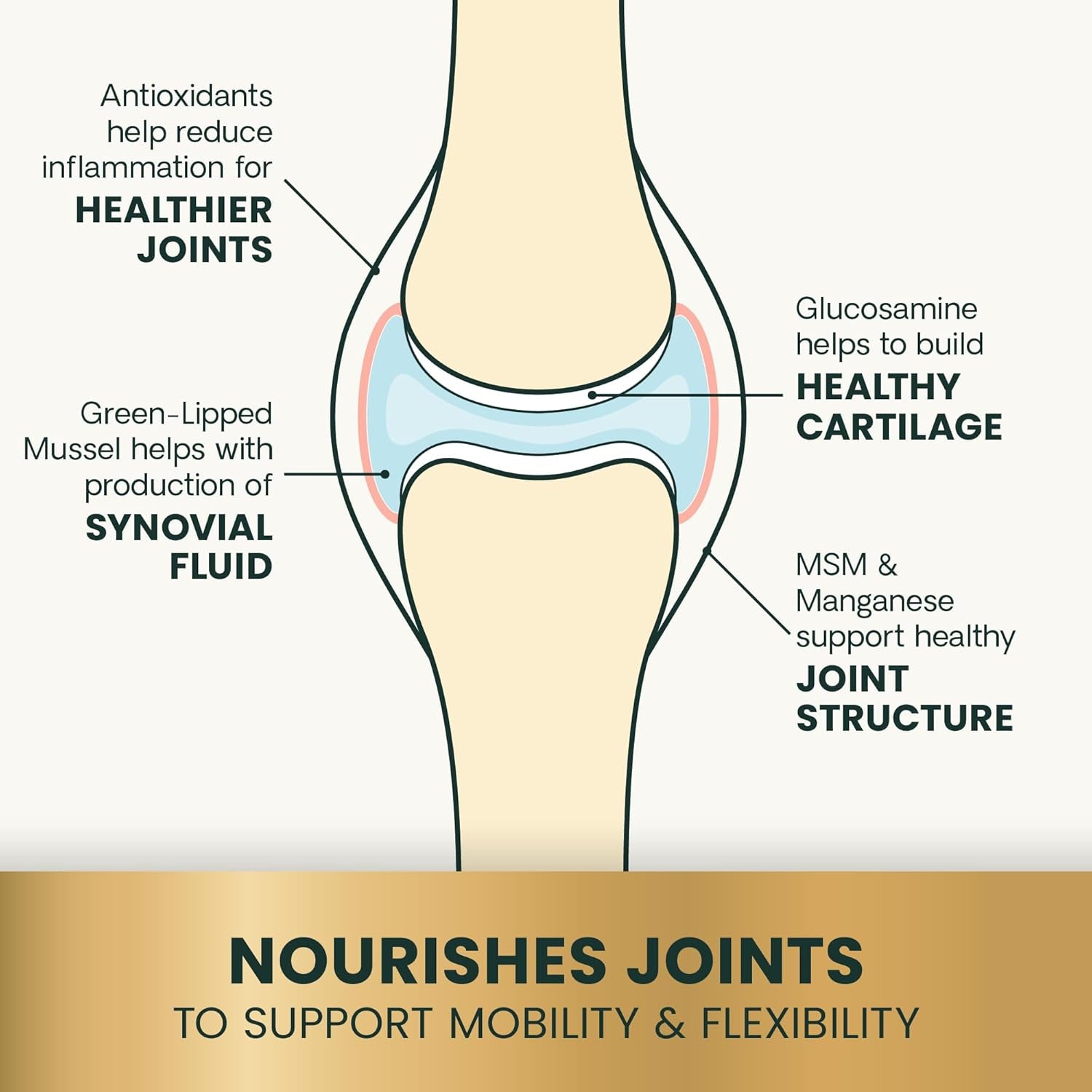 Vetriscience Ultimate Strength Healthy Hip & Joint Tablets, Glycoflex Glucosamine, Chondroitin & Green-Lipped Mussel Joint Support Supplement for Dogs, Soothe Joint Discomfort, 120 Chewable Tablets