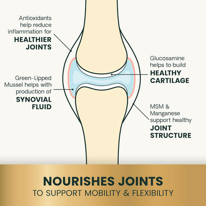 Vetriscience Ultimate Strength Healthy Hip & Joint Tablets, Glycoflex Glucosamine, Chondroitin & Green-Lipped Mussel Joint Support Supplement for Dogs, Soothe Joint Discomfort, 120 Chewable Tablets