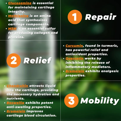 Joint Health Supplement - Glucosamine Chondroitin MSM - Cartilage Joint Support Supplement